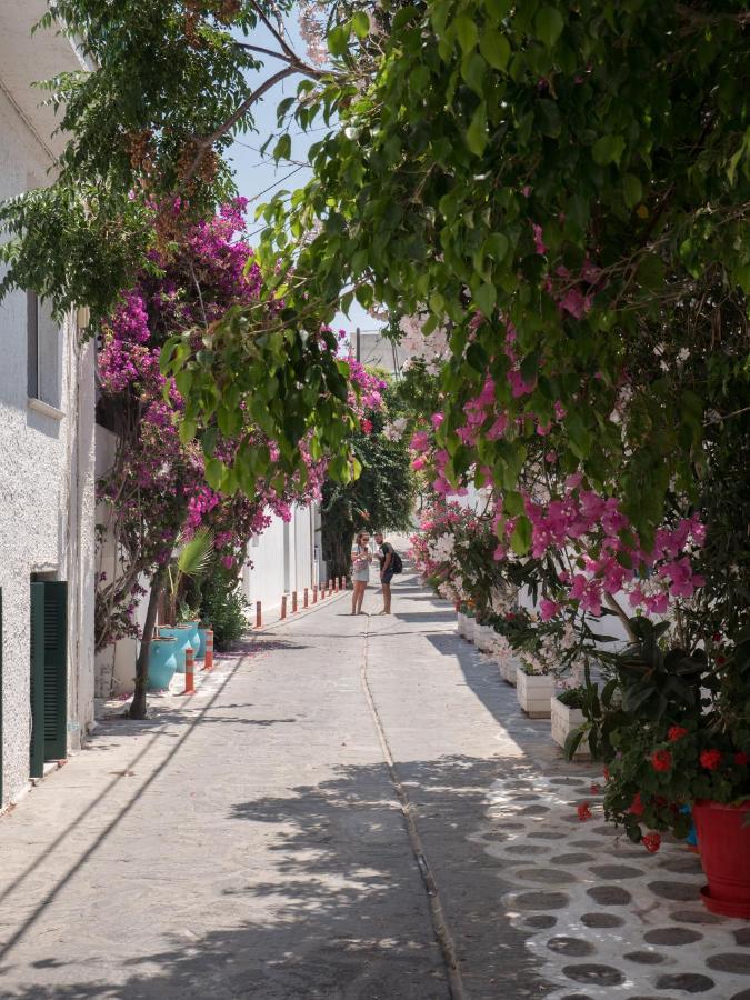 Terra Fos Naxos Studios Naxos City 外观 照片